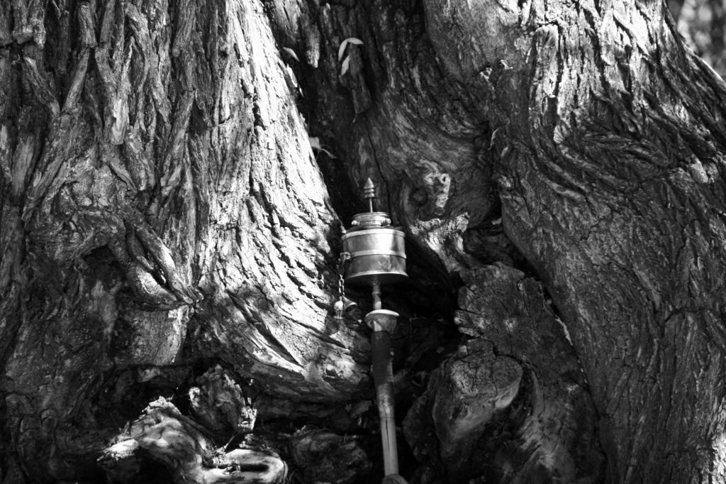 B & W,Gebetsmühle,Lhasa,Tibet