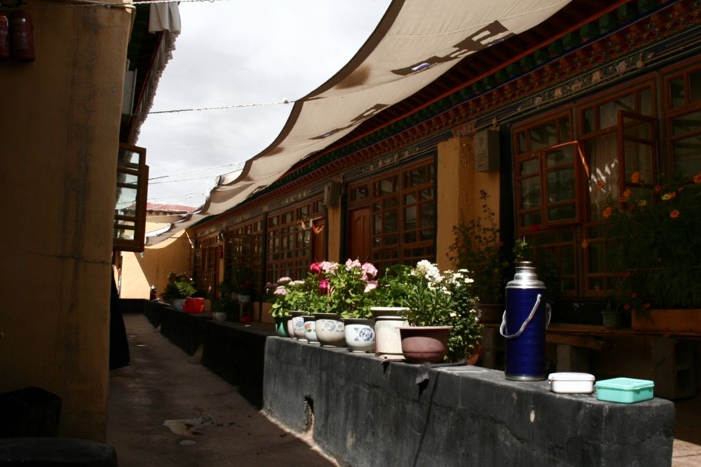 Blumen,Lhasa,Jokhang,Tibet