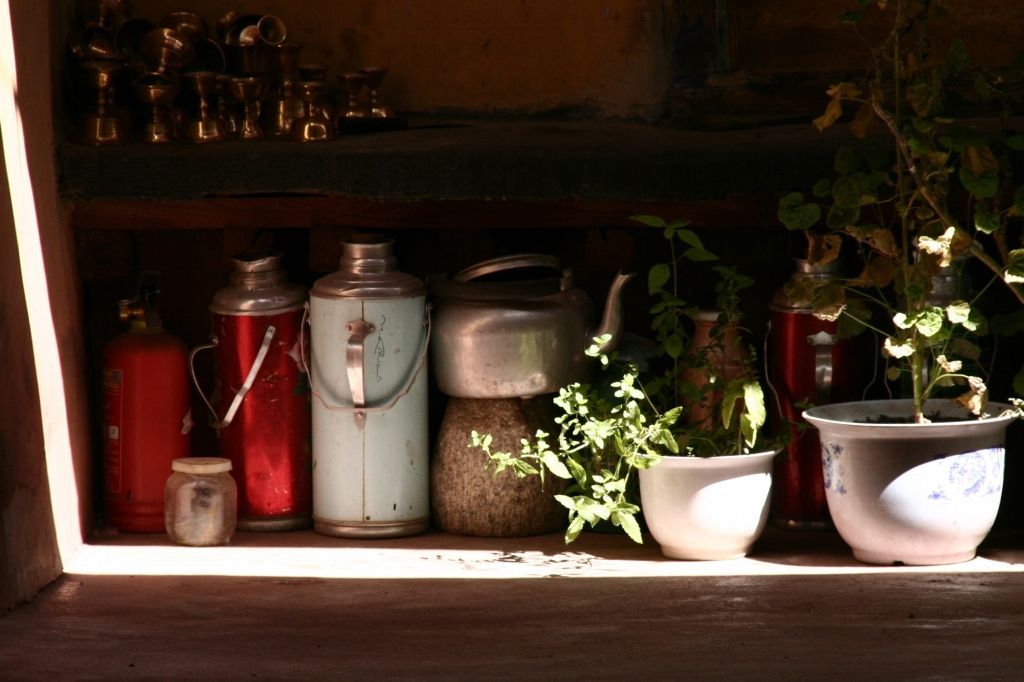 Blumen,Lhasa,Jokhang,Tibet