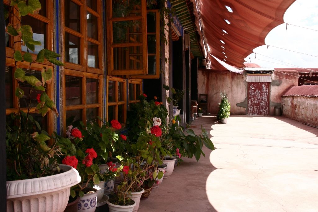 Blumen,Lhasa,Jokhang,Tibet