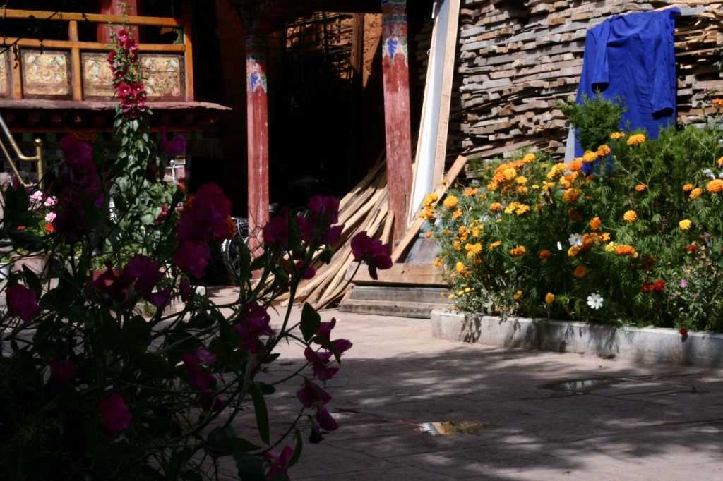 Blumen,Lhasa,Tibet