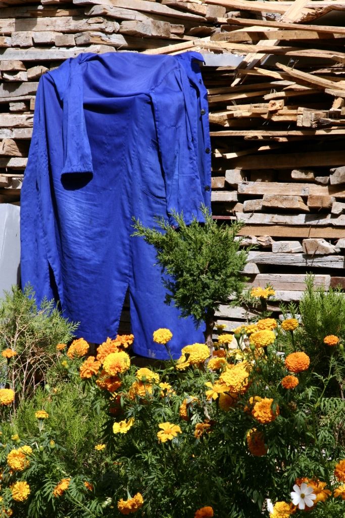 Blumen,Lhasa,Tibet