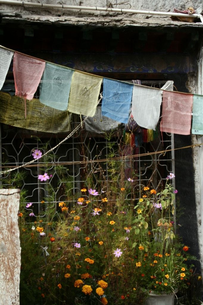 Blumen,Lhasa,Tibet