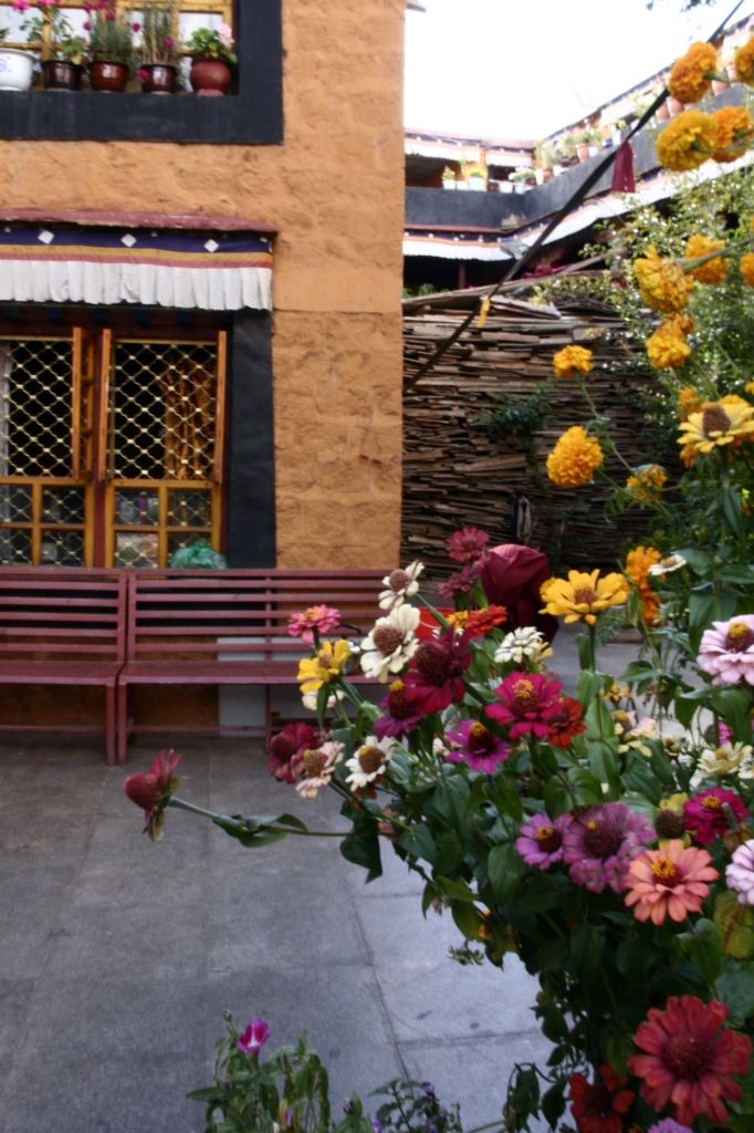 Farben,Blumen,Lhasa,Tibet