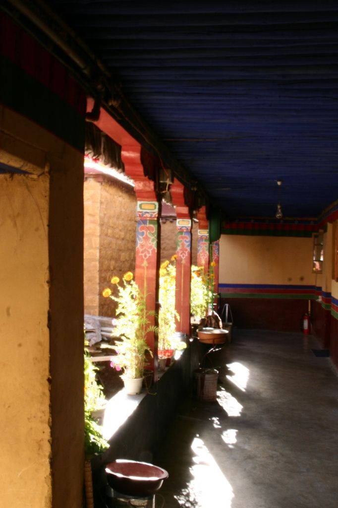 Farben,Blumen,Lhasa,Tibet