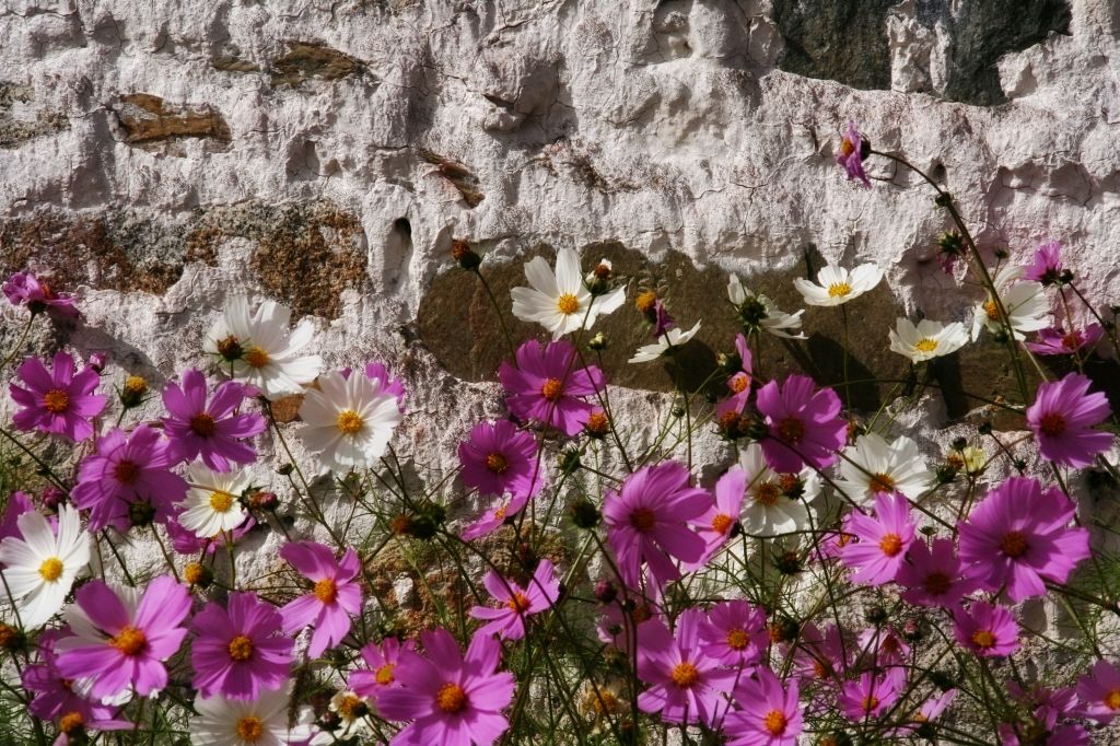 Lhasa,Tibet