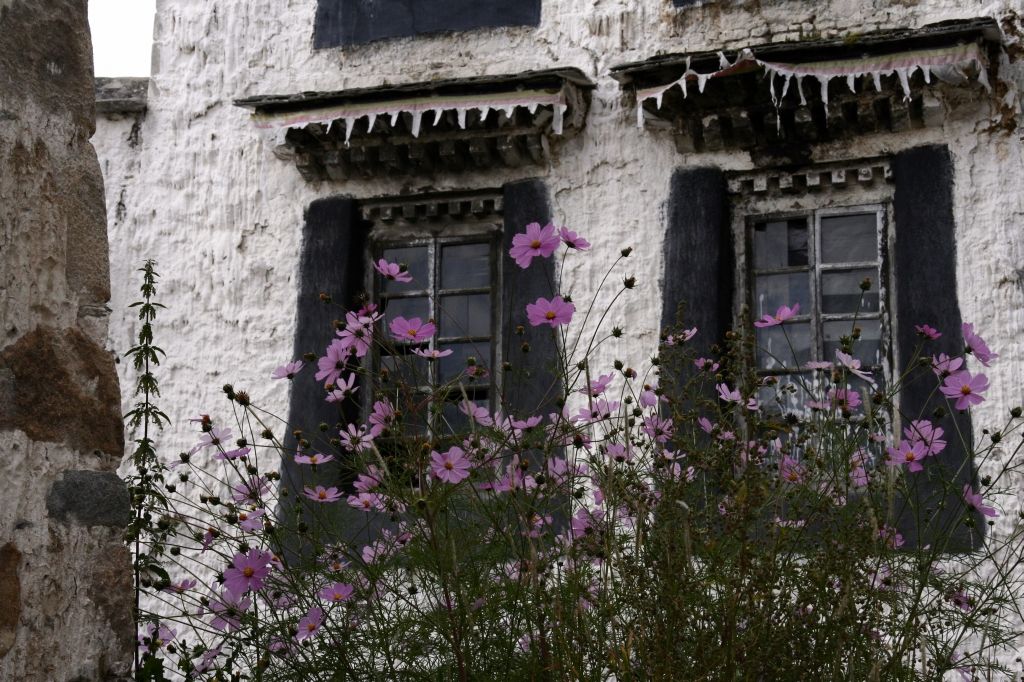 Lhasa,Tibet,Drepung