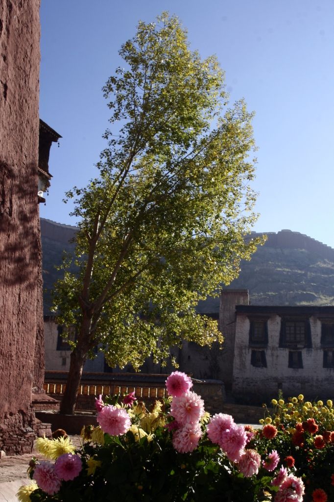 Tibet,Gyantse