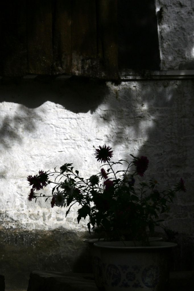 Tibet,Shigatse,Tashilhunpo