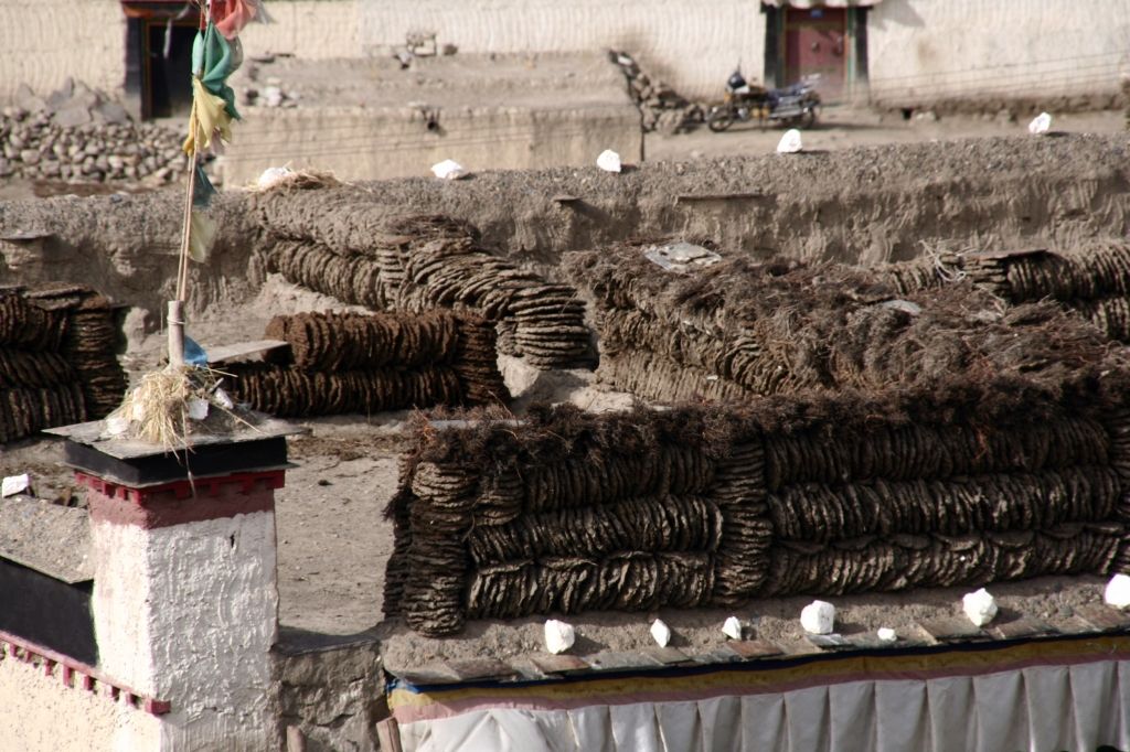 Tibet