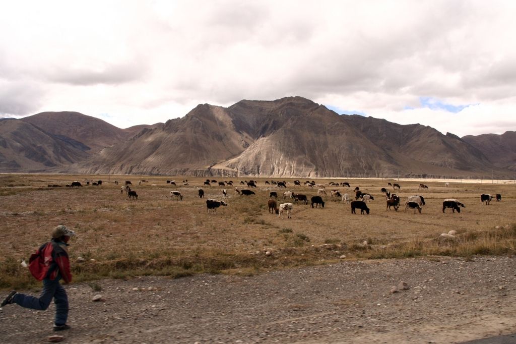 Tibet