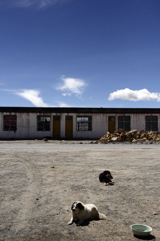 Tibet