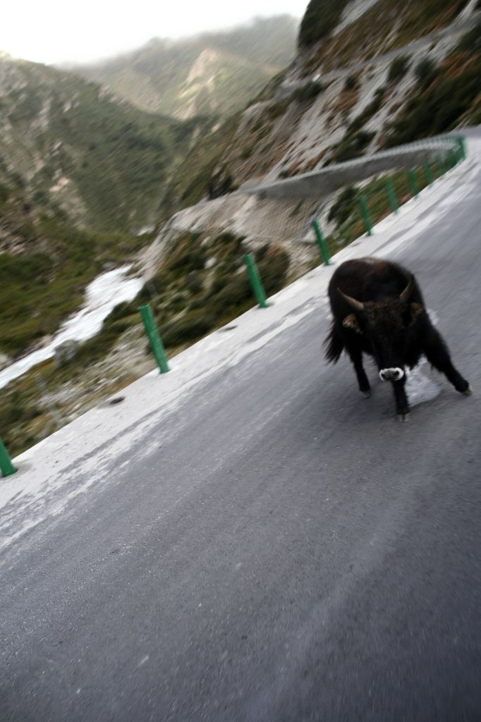 Verkehr,Tibet